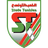 teamLogo
