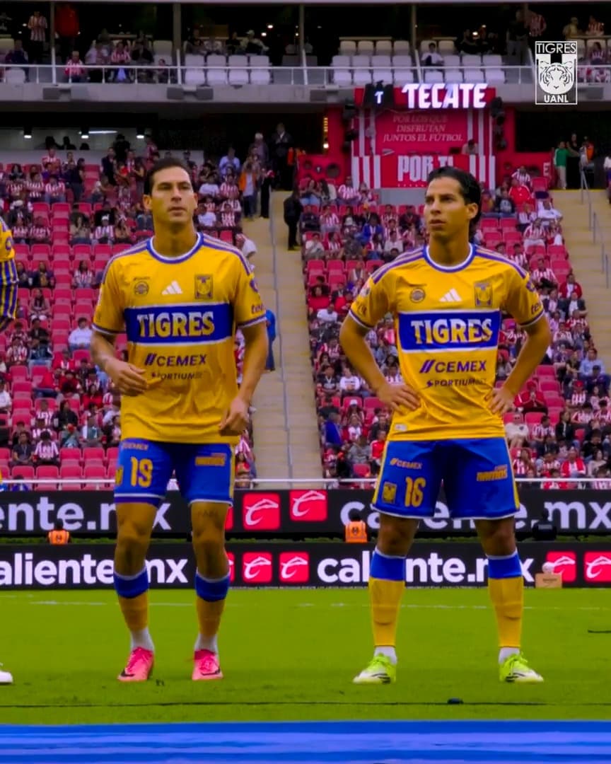 HU8fZ5xXcAERx U