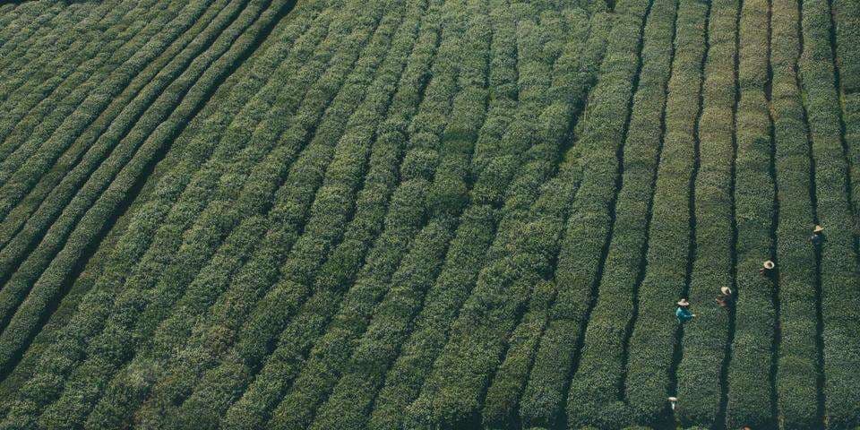 841p 841p