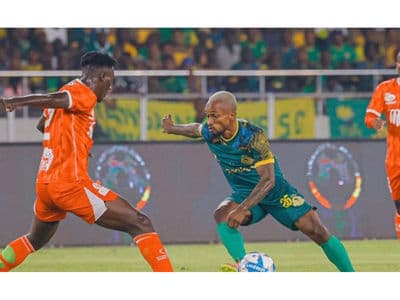 Simba bycot Simba bycot