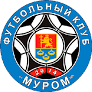 teamLogo
