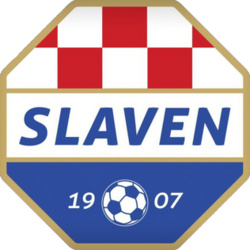 teamLogo